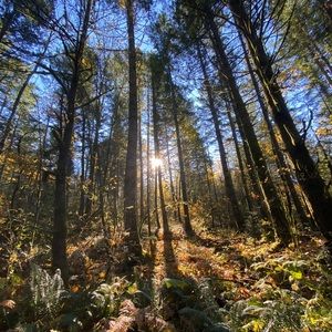 Meet your Posher, Ashelly